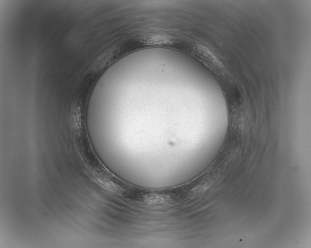 X0000073410549200608111328