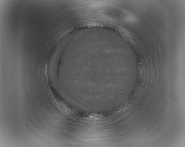 X0000073410550200608111328