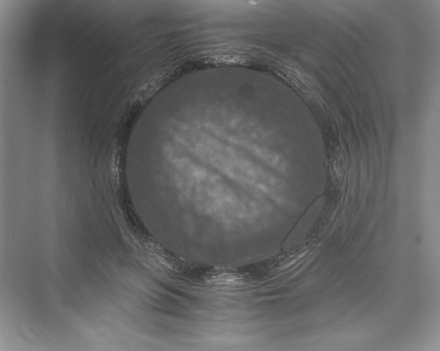 X0000073410551200608111328