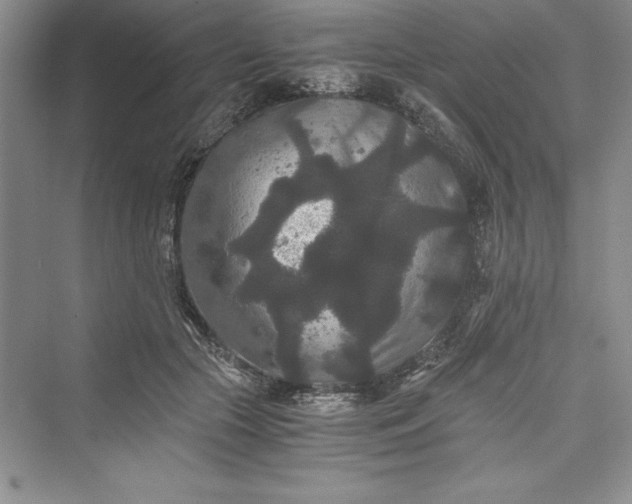 X0000073410553200608111328