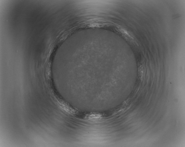 X0000073410554200608111328