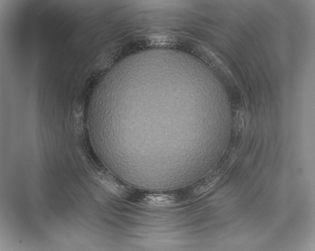 X0000073410557200608111328