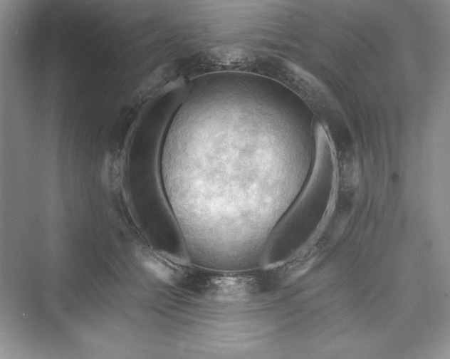 X0000073410558200608111328