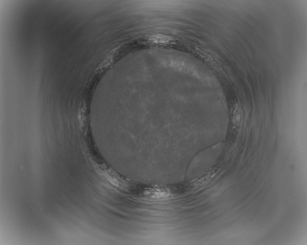 X0000073410559200608111328