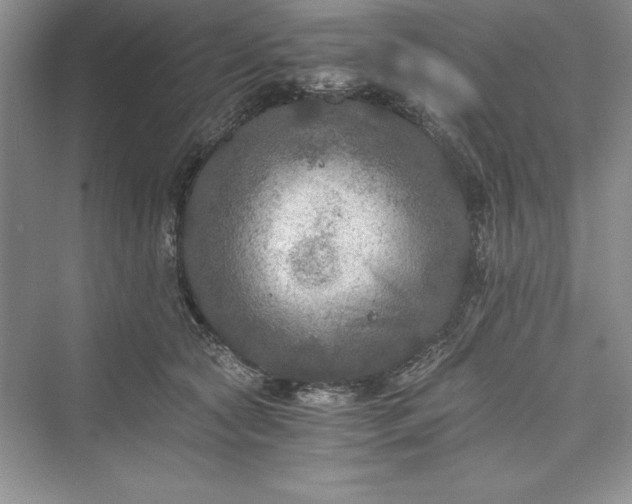 X0000073410561200608111328