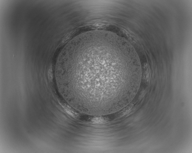 X0000073410562200608111328