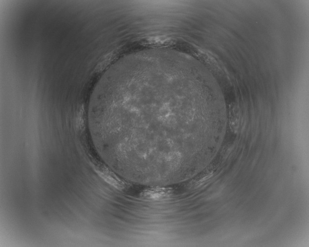 X0000073410563200608111328