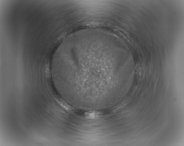 X0000073410564200608111328