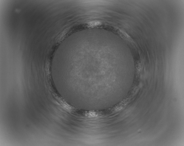 X0000073410565200608111328