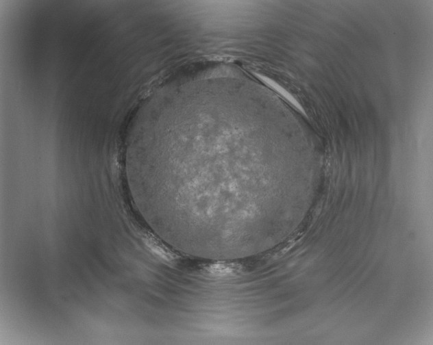 X0000073410566200608111328