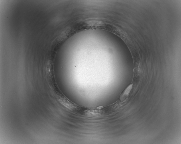 X0000073410567200608111328