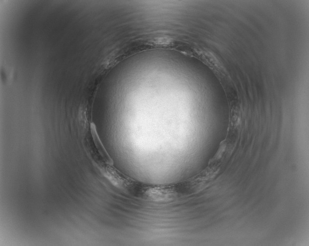 X0000073410568200608111328