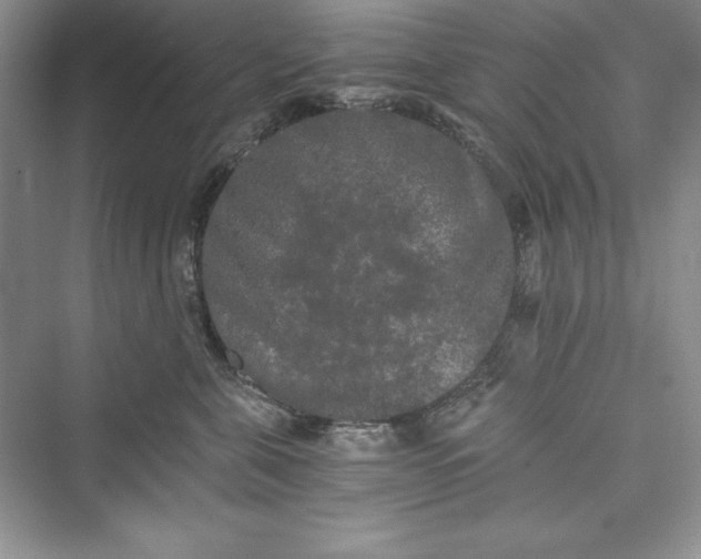 X0000073410571200608111328