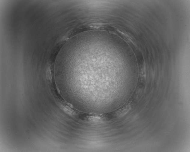 X0000073410572200608111328