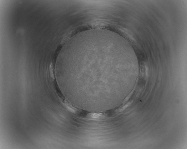 X0000073410575200608111328