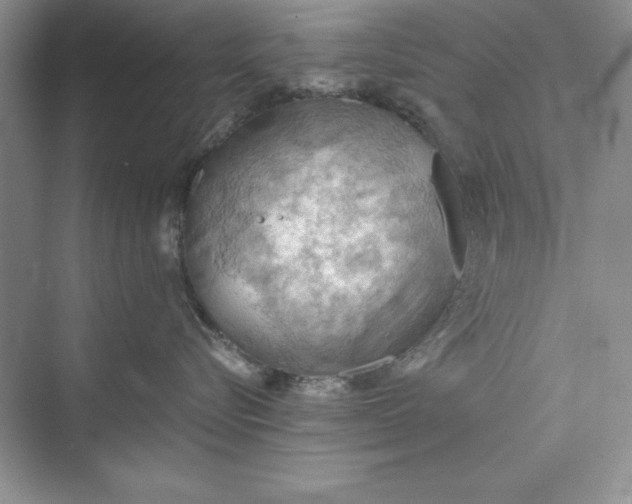 X0000073410576200608111328