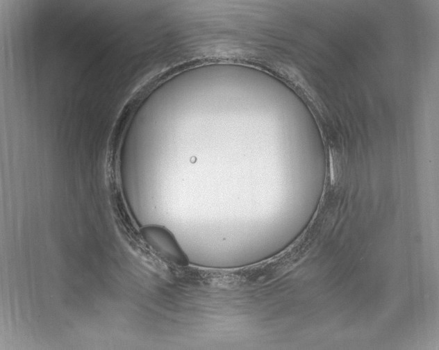 X0000073410579200608111327