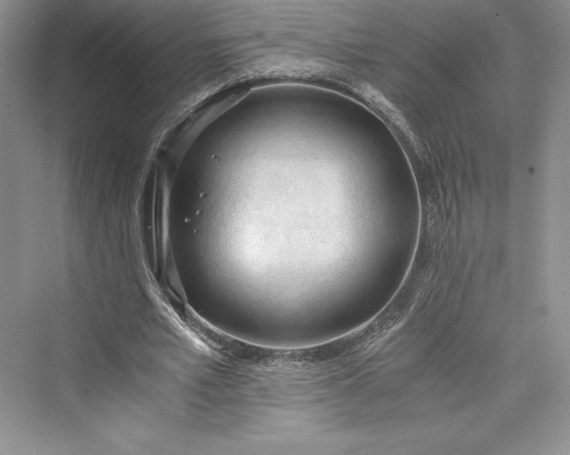 X0000073410581200608111327