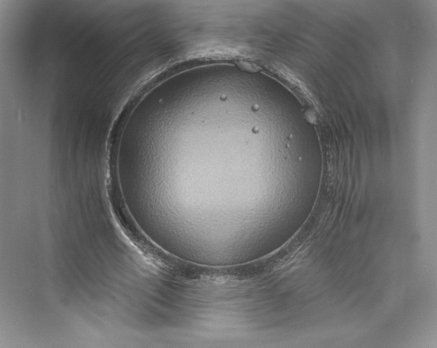 X0000073410582200608111327