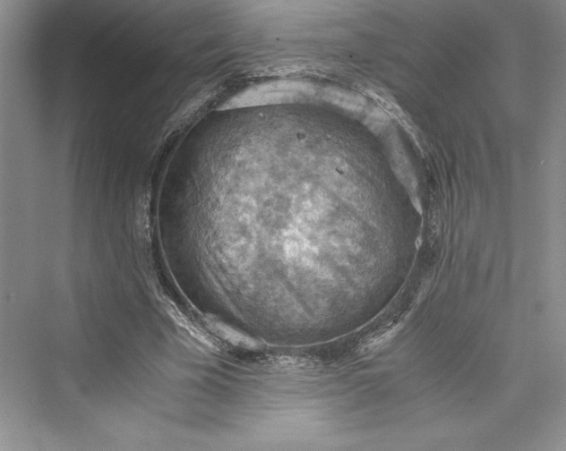 X0000073410585200608111327