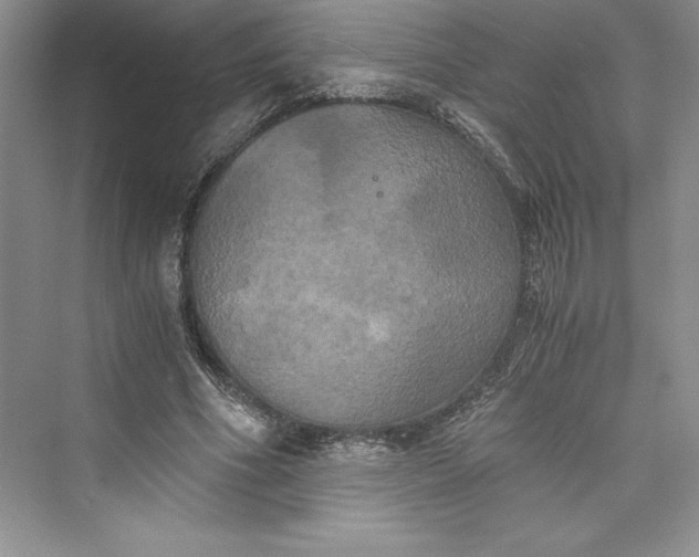 X0000073410586200608111327