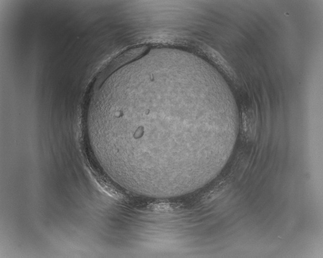 X0000073410588200608111327