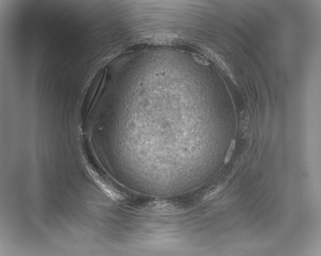 X0000073410589200608111327