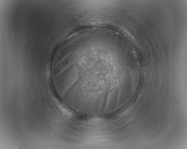 X0000073410593200608111327