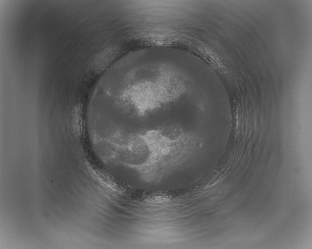 X0000073410594200608111327