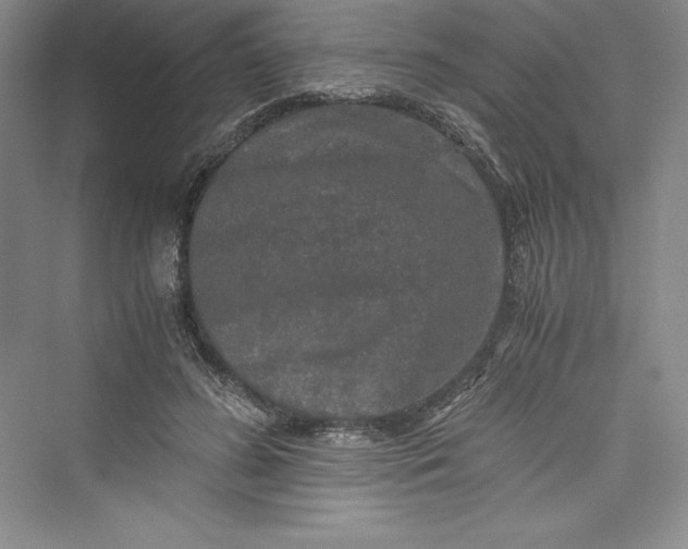 X0000073410596200608111327