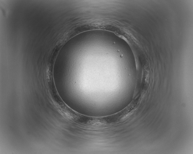 X0000073410597200608111327