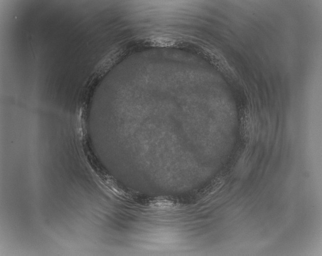 X0000073410598200608111327