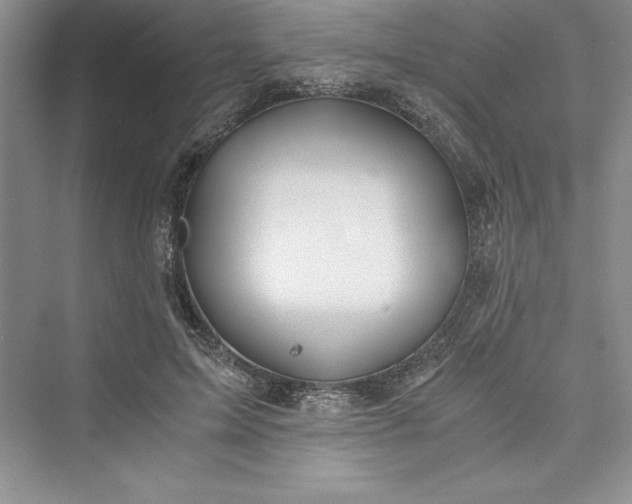 X0000073410599200608111327