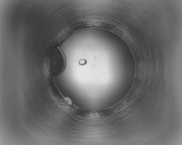 X0000073410600200608111327