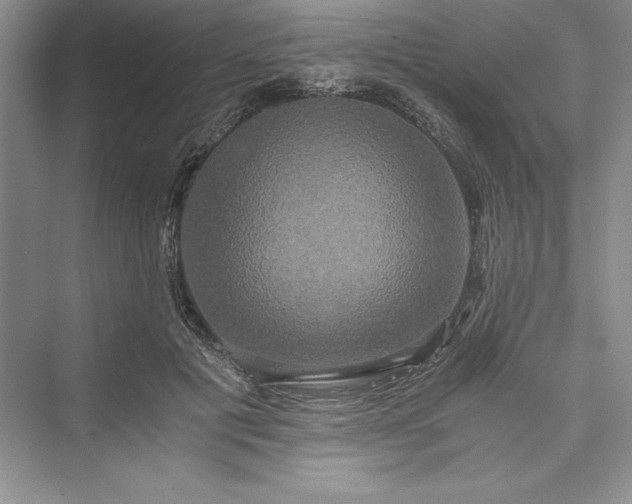 X0000073410601200608111327