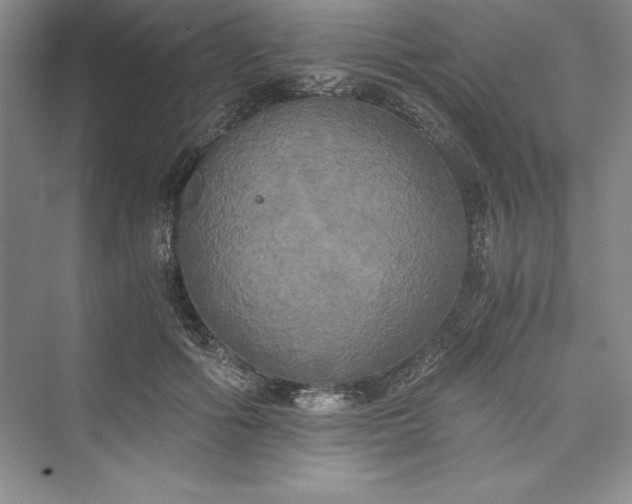 X0000073410602200608111327