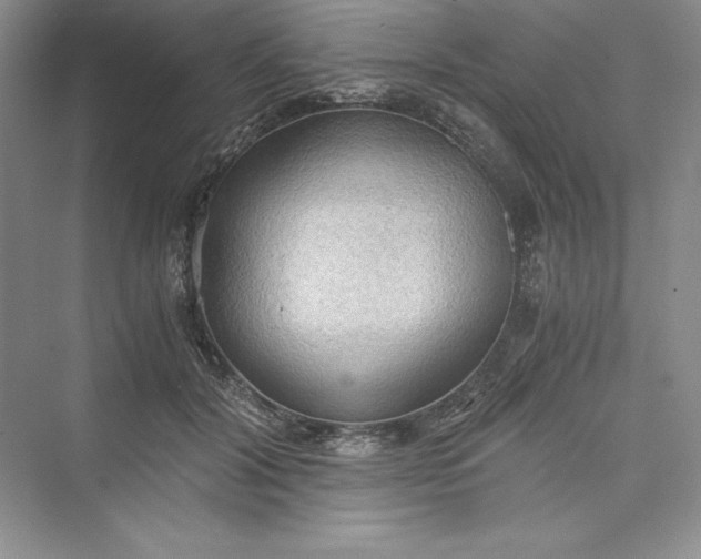 X0000073410604200608111327