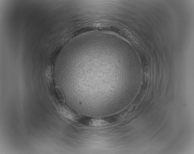 X0000073410605200608111327