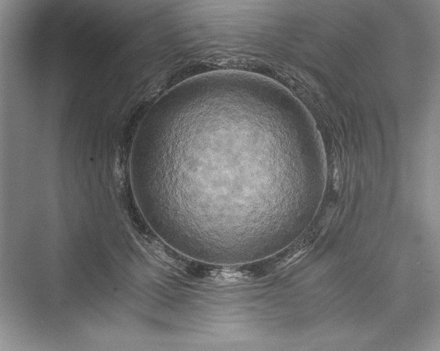 X0000073410607200608111327