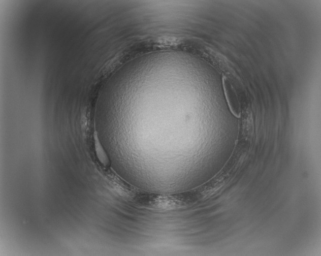 X0000073410608200608111327