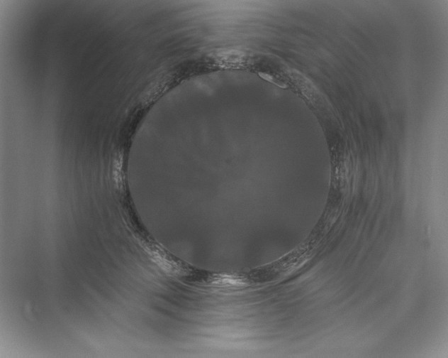 X0000073410610200608111327