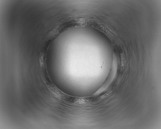 X0000073410611200608111327