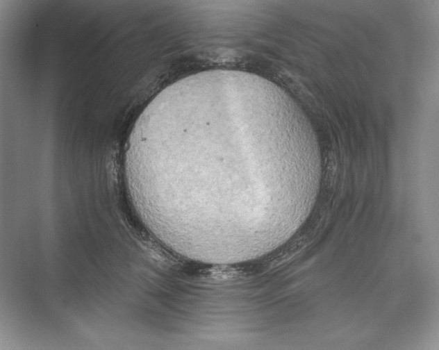 X0000073410612200608111327