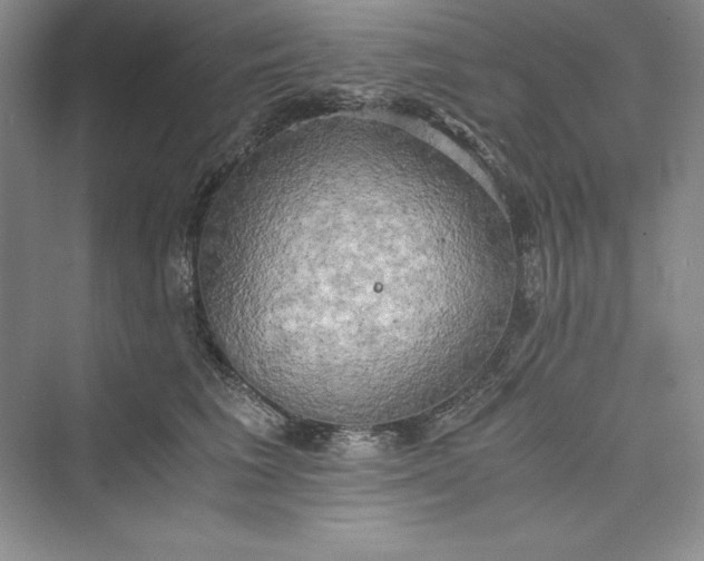 X0000073410613200608111327