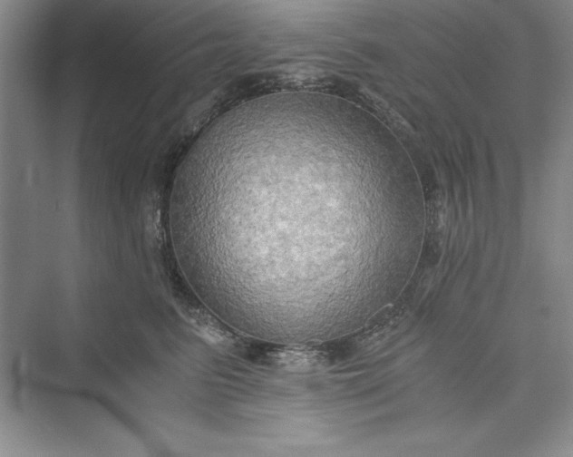 X0000073410615200608111327