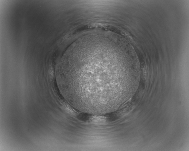 X0000073410617200608111327