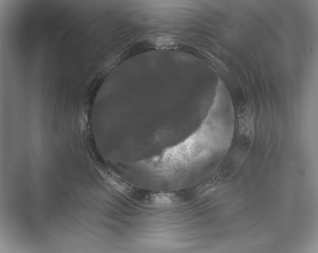 X0000073410618200608111327