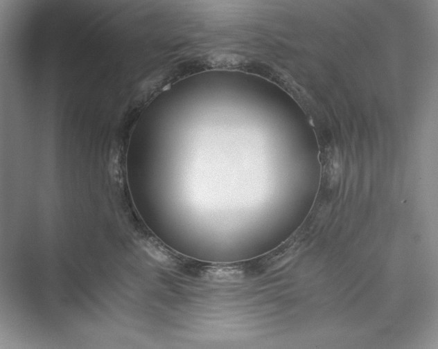 X0000073410619200608111327