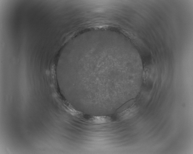 X0000073410623200608111327