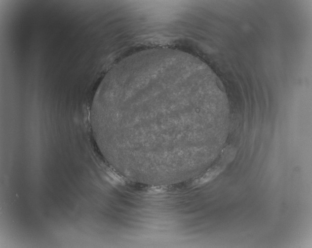 X0000073410624200608111327